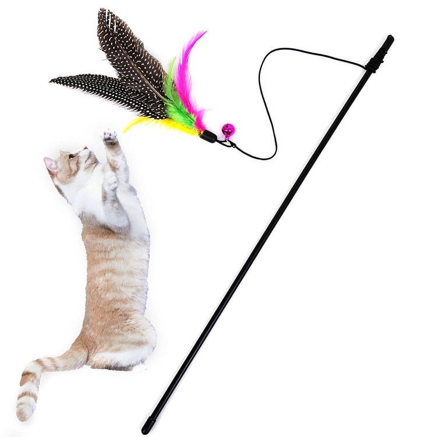 Interactive Feather Wand